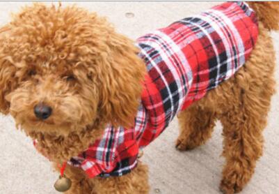 Chic Pet Plaid Shirt