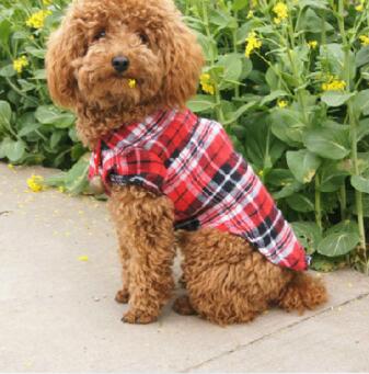 Chic Pet Plaid Shirt