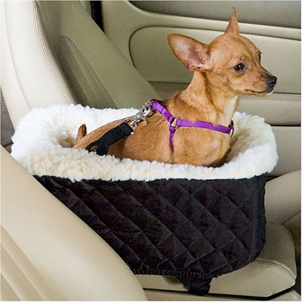 Auto Pet Lounge with Cushion